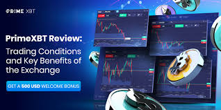 Explore the PrimeXBT Website Your Gateway to Advanced Trading
