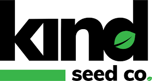 Exploring the Best Marijuana Seeds in New Hampshire
