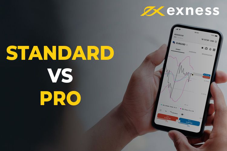 Explore the Opportunities with Exness Global
